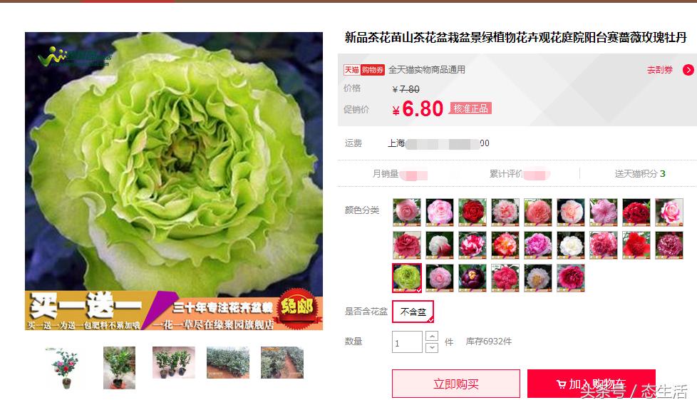 淘宝店铺卖的花卉是正品吗安全吗,淘宝花店骗局揭秘图片