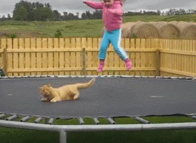 每日逗你一乐：今天我终于见到秋名山车神了