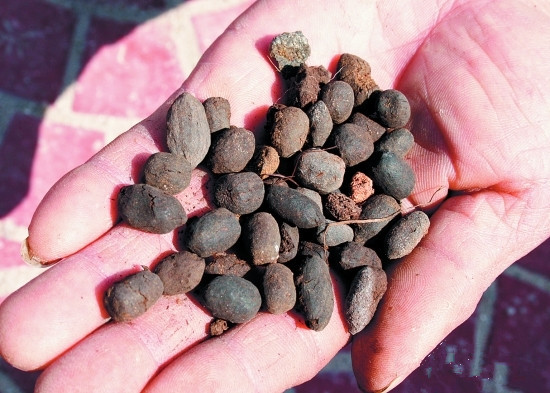 手上扎根刺20多天了,手里扎刺会自愈吗