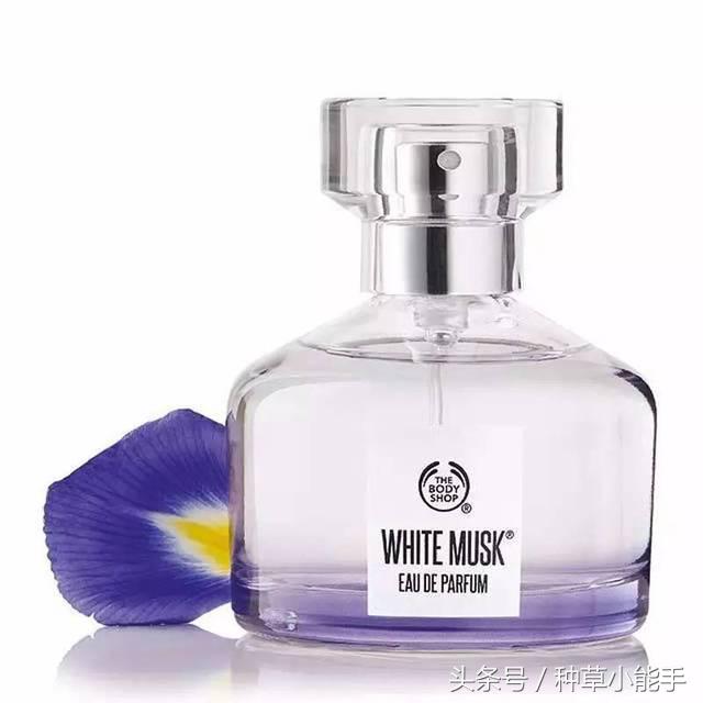 五款好用却便宜的国货香水,适合女生春天使用的香水小众平价