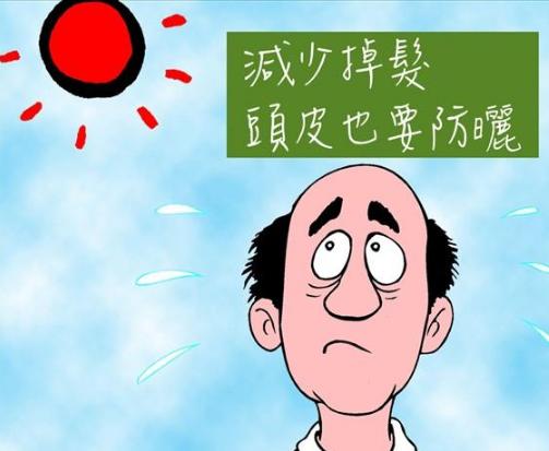 毛发移植的价格贵不贵呀,毛发移植贵不贵