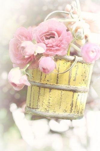 男人到底是一种什么样的动物,男人是什么动物理性还是感性