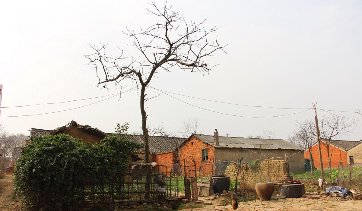 农村邻居整天找我茬该咋办,农村邻居经常找茬应该怎么教训他