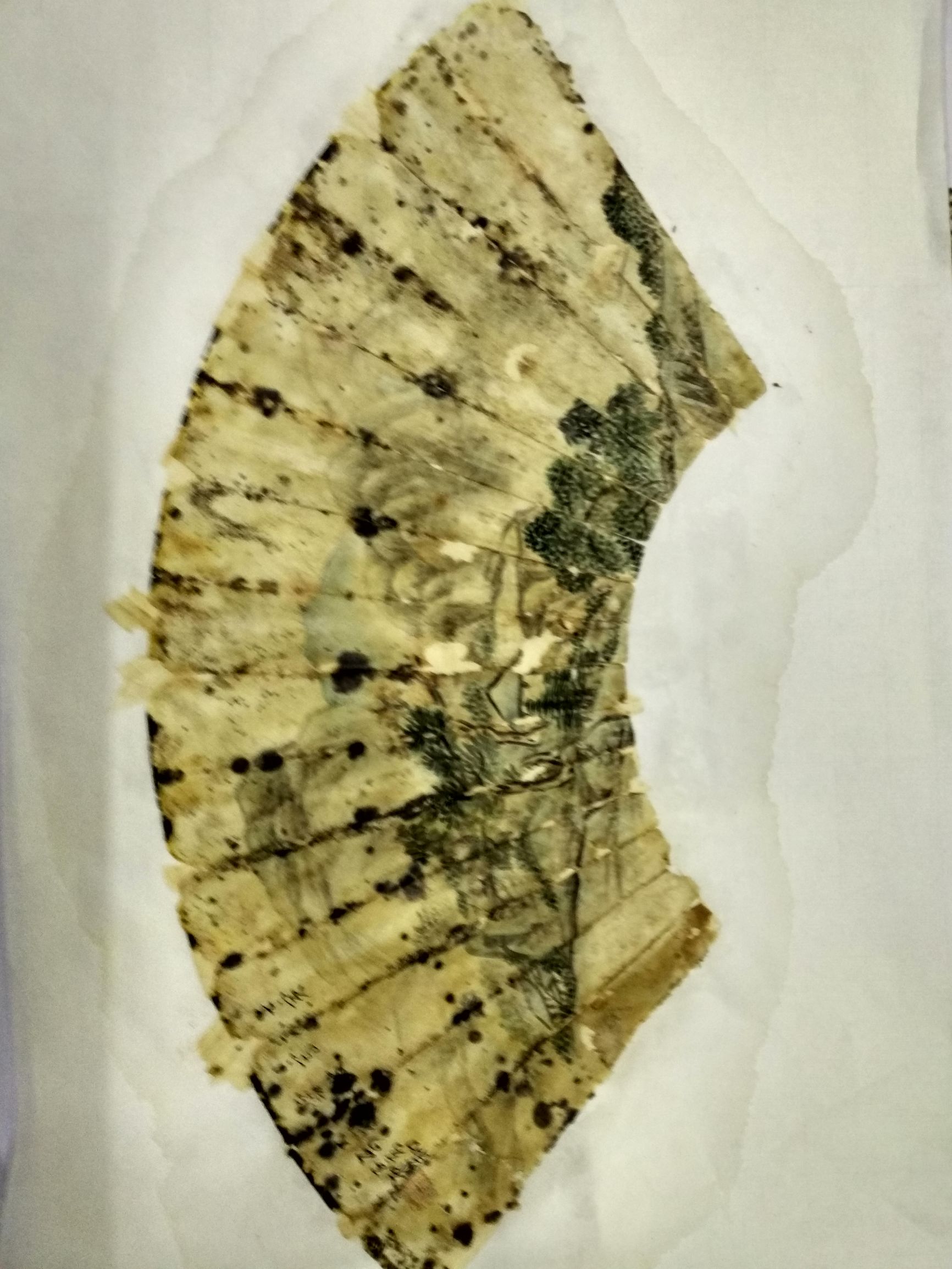 瀛楃敾鍙戦湁娓呮礂姝ラ瑙嗛,瀛楃敾鍘绘薄鍘婚湁淇