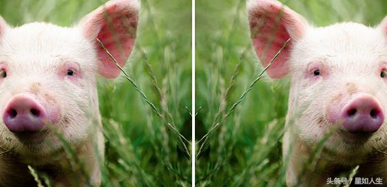 ps基础教程新手入门画笔的使用,ps2016基础教程新手入门