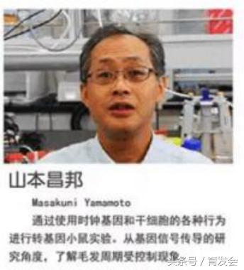 日本专利专攻白发何首乌洗发水,日本新技术成功解决脱发秃顶