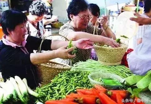 为什么定居淄博,为什么要定居