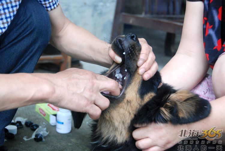陈荣华北海,北海人的一天