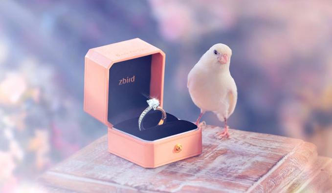 钻石小鸟裸钻怎么样,钻石小鸟裸钻什么时候便宜