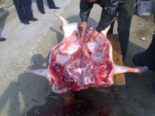 舌尖上的美食杀猪菜,舌尖上的中国东北杀猪菜是第几集