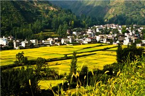 甘肃陇南县志,甘肃陇南徽县县志