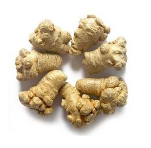 田七炖鸡的功效与作用禁忌有哪些,田七人参煲鸡功效与禁忌是什么