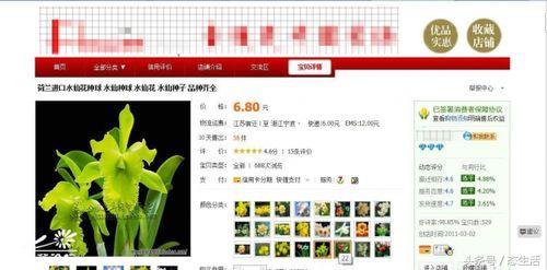 淘宝店铺卖的花卉是正品吗安全吗,淘宝花店骗局揭秘图片