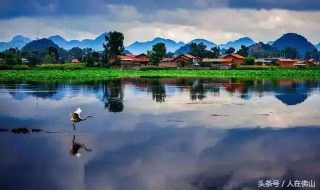 佛山西站出发动车直达!九月的普者黑,美成一幅脱俗的3D田园画~