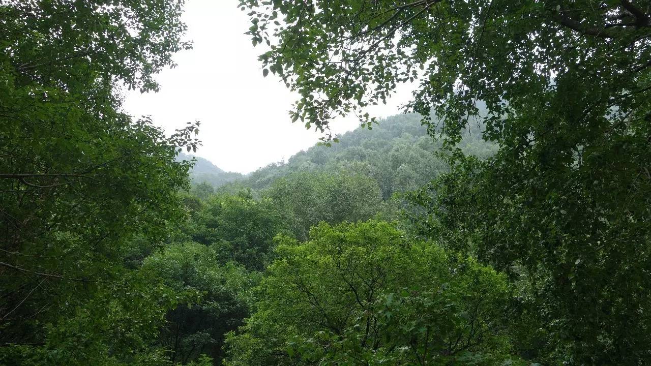 驼梁在石家庄什么地方,石家庄驼梁在石家庄的什么位置