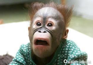 宋小宝带赵本山女儿出席活动,赵本山的女儿赵一涵和宋小宝