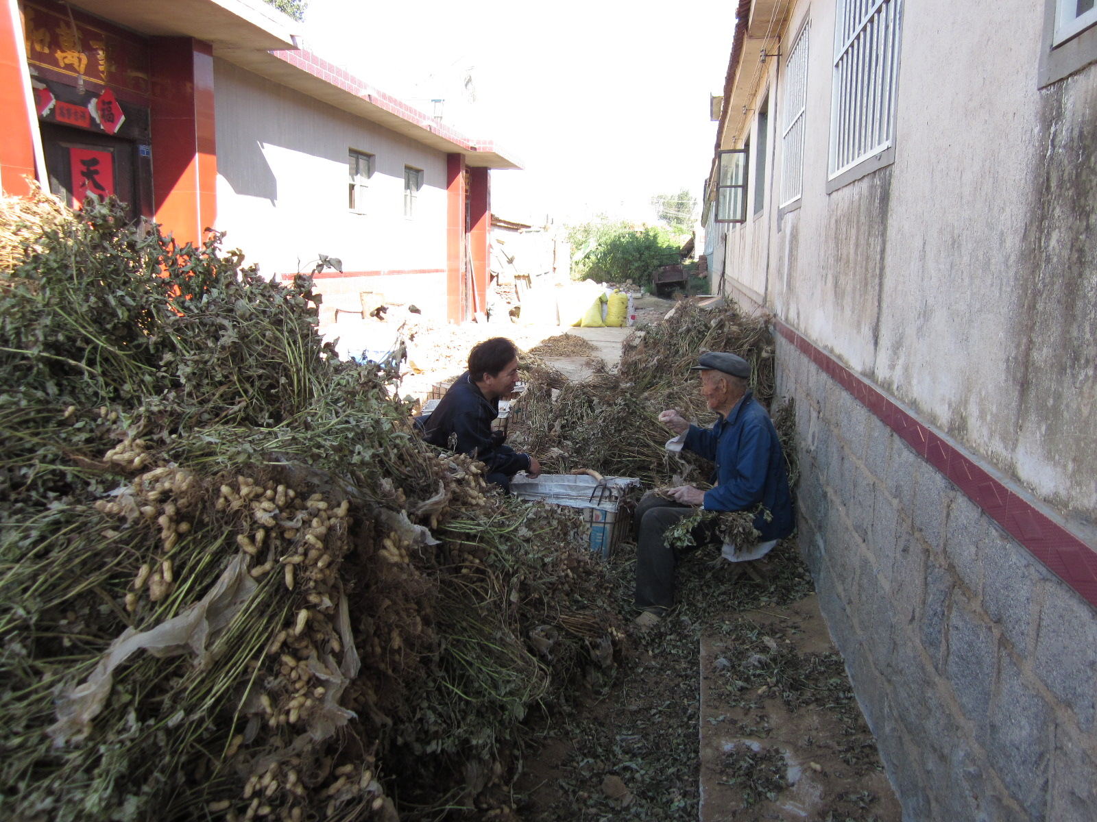 农村好政策来了有12项补贴,农村人有福了这几项补贴