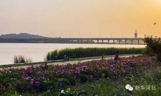 这条飘扬在河北大地的锦绣玉带,真是美爆了