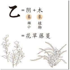 细说天干地支,趣谈天干地支