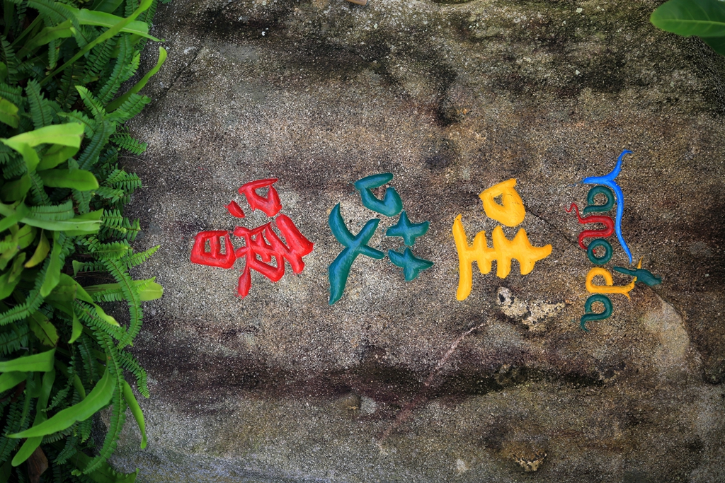 何必去南美，呀诺达热带雨林就有无数宝藏