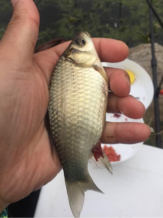 上班绑鱼钩，午休去钓鱼，因为工作耽搁了钓鱼，太不值！