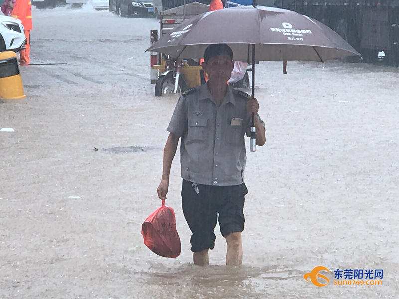 东莞海滩必备泳衣,东莞海边最新消息