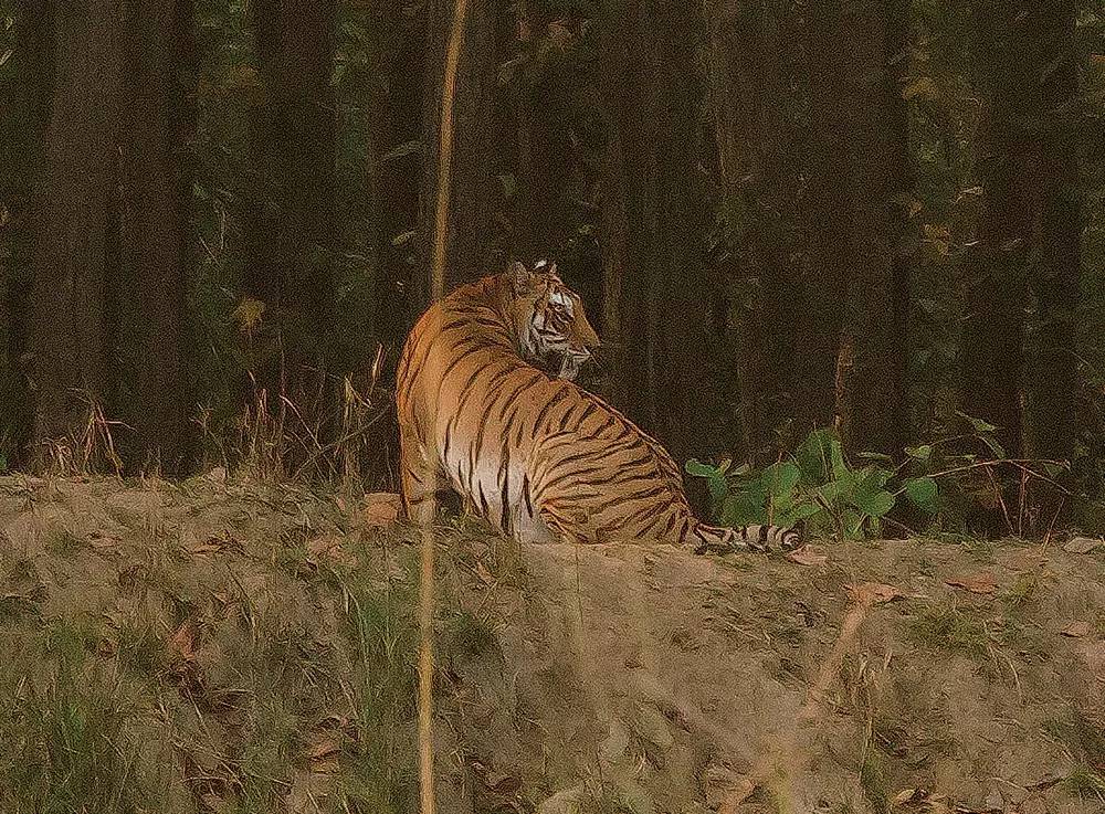 150年后，再次追寻「森林王子」的足迹