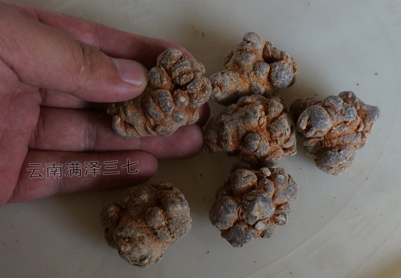 云南三七怎么分辨好坏,云南三七几头最好