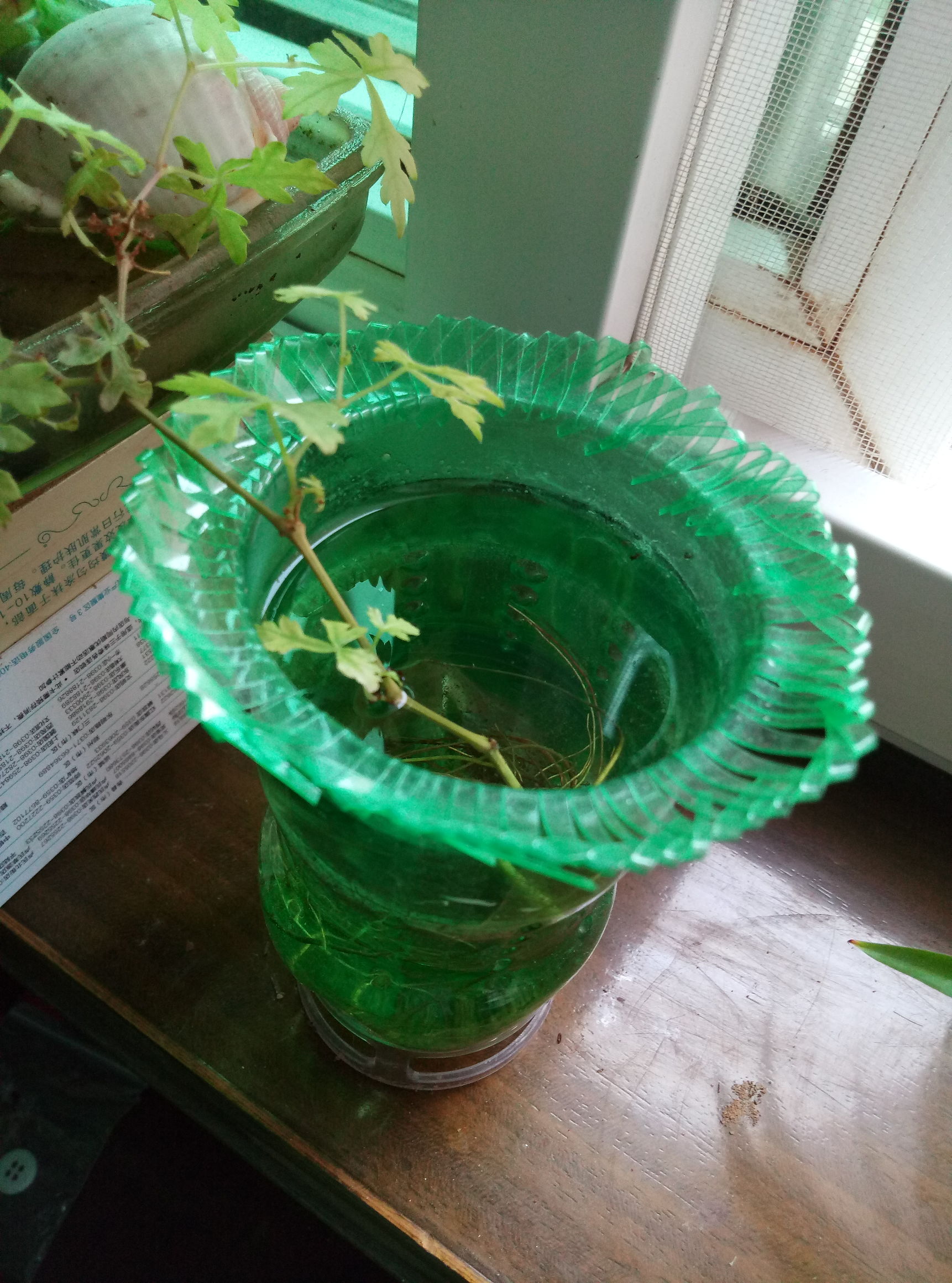 花器制作篇,用什么来制作花器