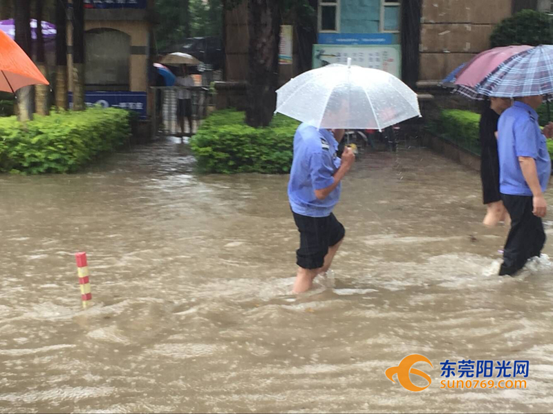 东莞海滩必备泳衣,东莞海边最新消息