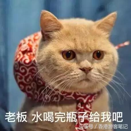 tf和ysl口红哪个更高端,50块的口红和100的区别