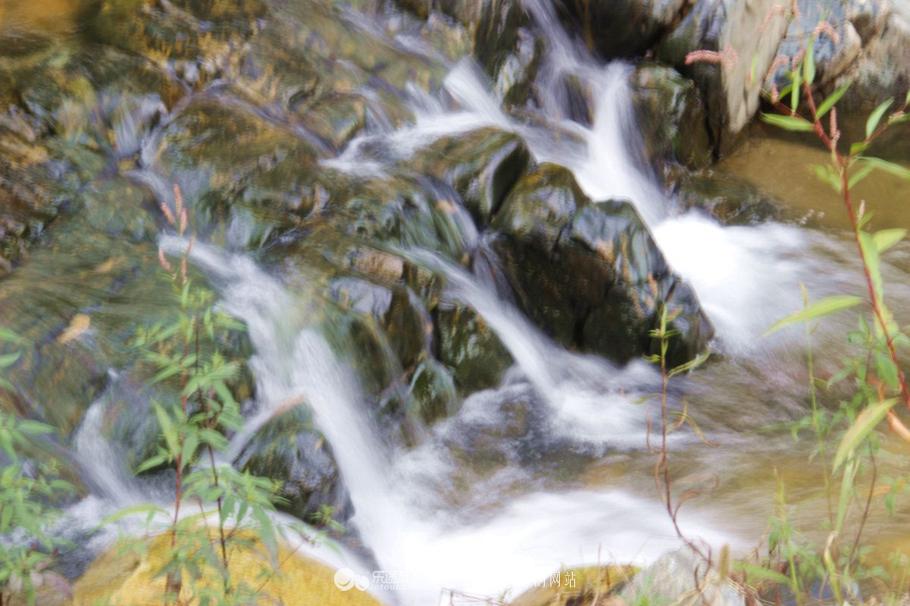 水秀山青下一句,农庄山清水秀的好地方