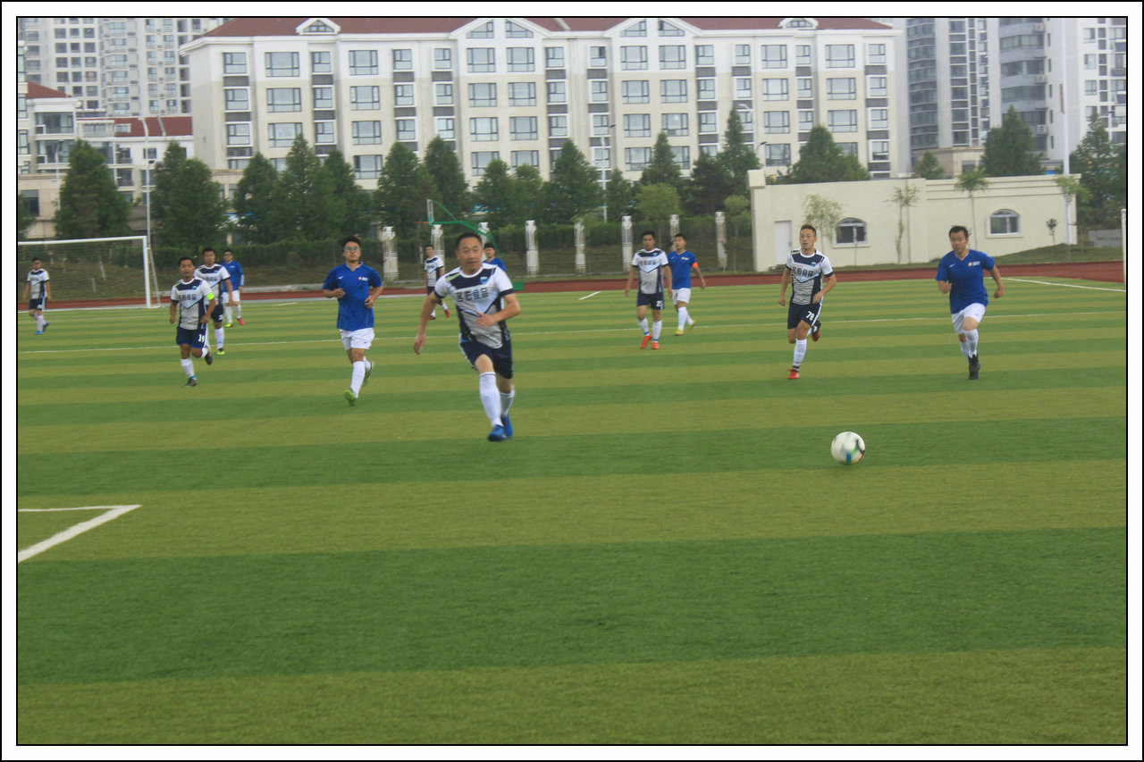 绿茵上追梦,绿茵场上的追梦人