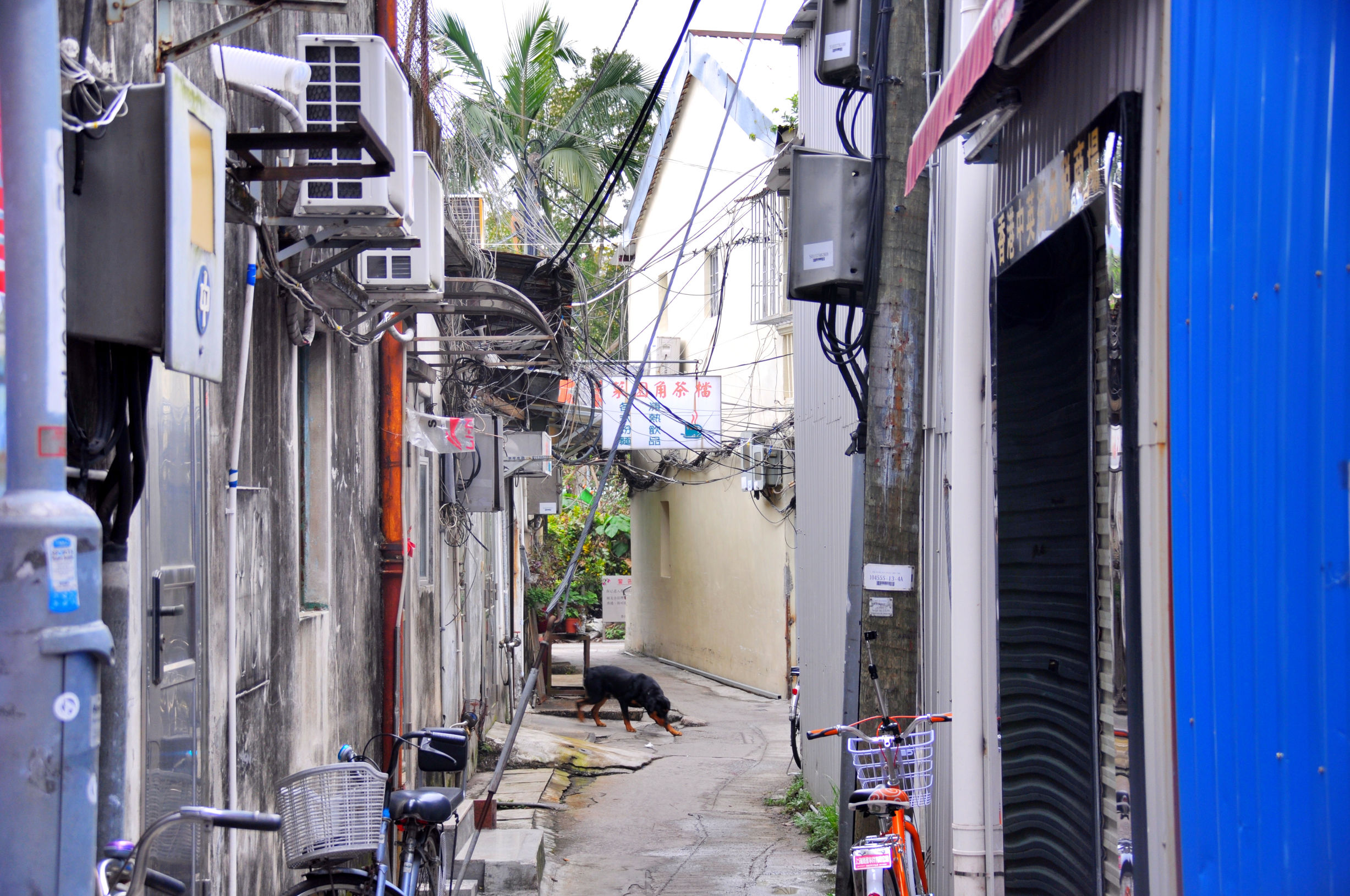 香港代购去哪买便宜,香港代购省钱攻略