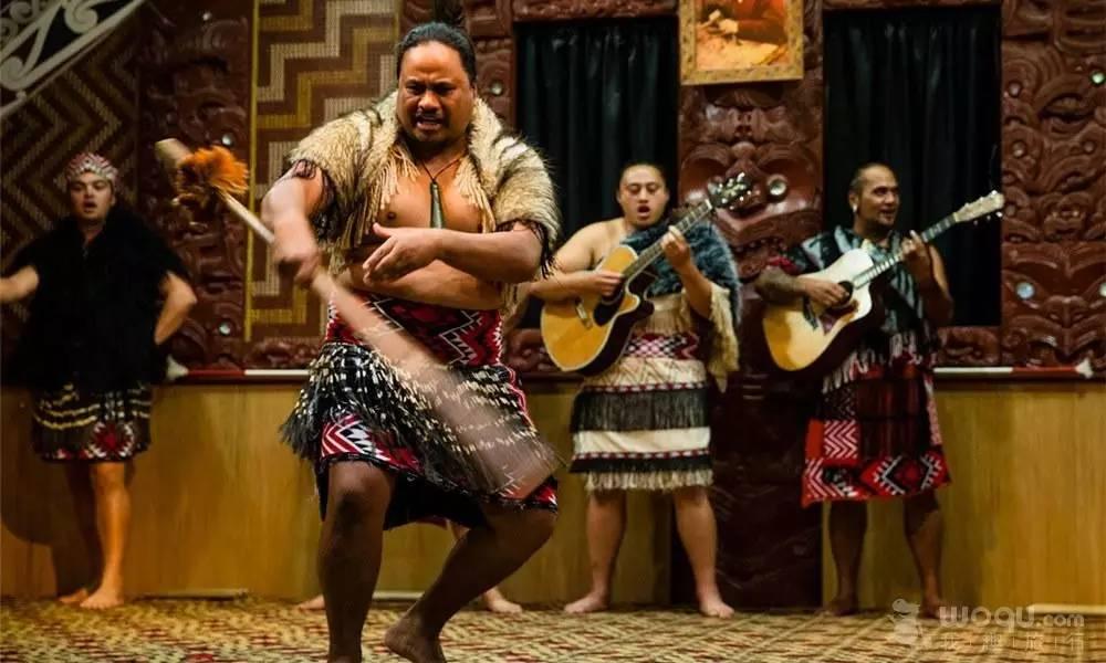 新西兰南+北岛8日自驾路线，像风一样自由！