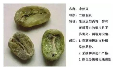 喝了咖啡恶心呕吐是什么原因,喝咖啡后恶心呕吐是怎么回事