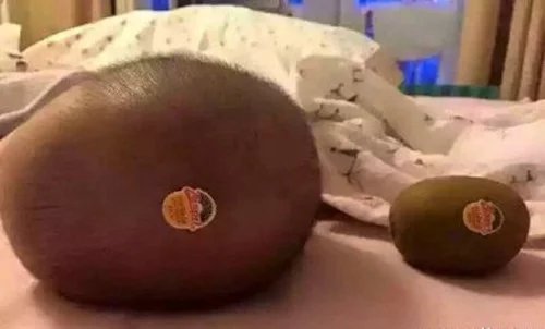 漏油是通病的车,奇怪的车故障