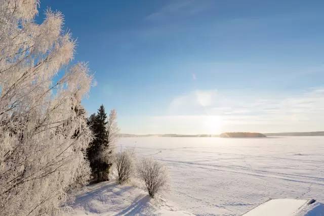 芬兰真力音箱,真力音箱型号经典