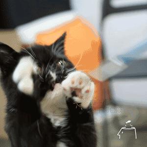 为什么看到潘玮柏送的项链，吴昕哭了？