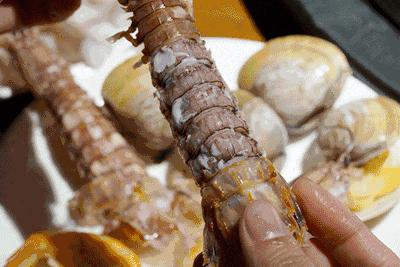 攻略|老渔民亲传“扒虾秘籍”,皮皮虾我们走!