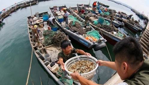 千万别离开龙口，因为有些味道无法代替