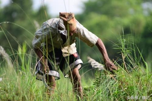 不会掂镰割草,你就算不上地道的河南农村娃