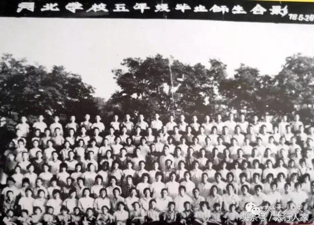 保定有名的小学,河北小学保定