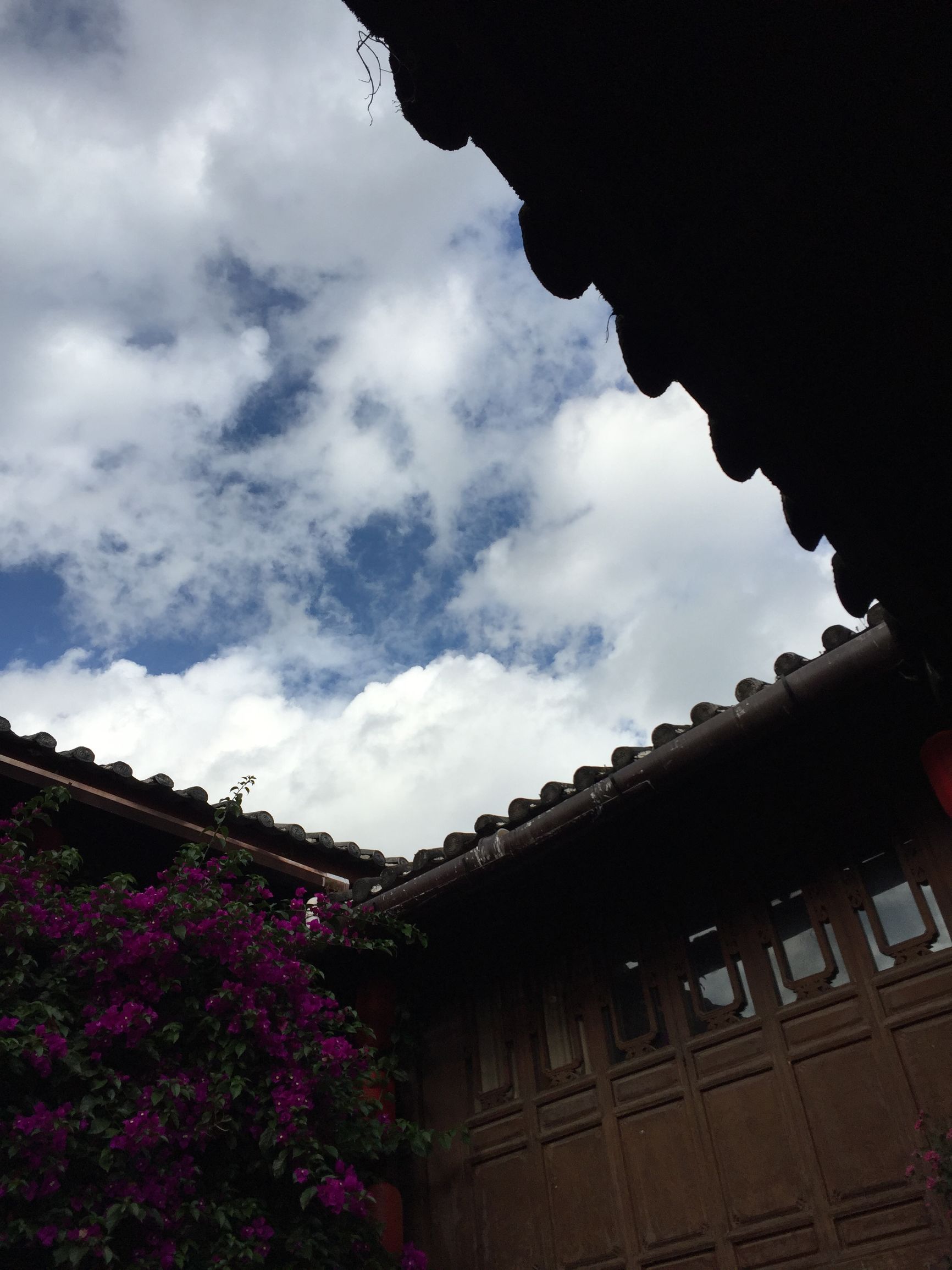 这个国庆长假，难忘大理洱海小岛上那个农家小倌的炖鸡汤