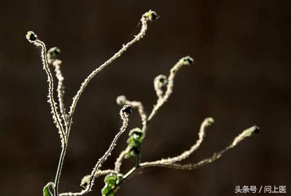 痛经怎么缓解多喝热水,痛经平时应该喝点什么