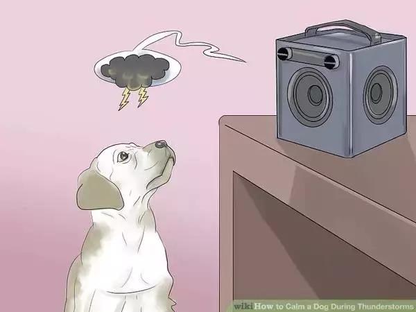 狗狗怕打雷怎么处理,怎样能克服狗狗怕打雷呢
