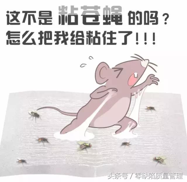 你买的捕蝇纸不好用？那是他们的小心机！