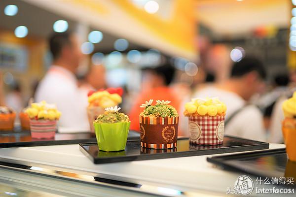 初入摄影应该必备哪些镜头,初入摄影该怎么选相机