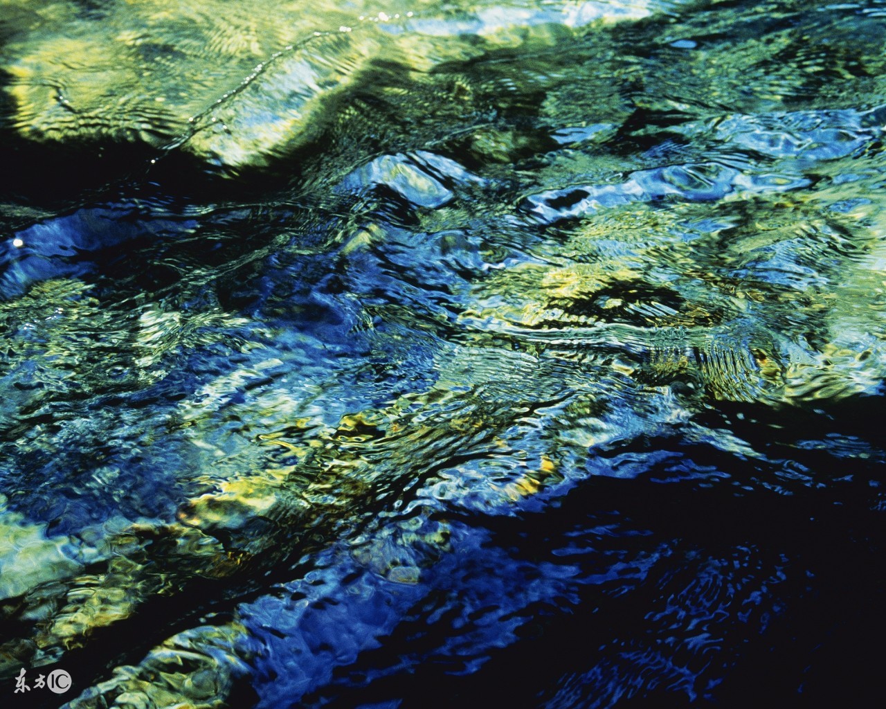 成功秘诀和感悟,成功的秘诀利他