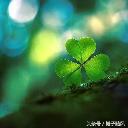 华南地区城市gdp排名,我国最强十大城市